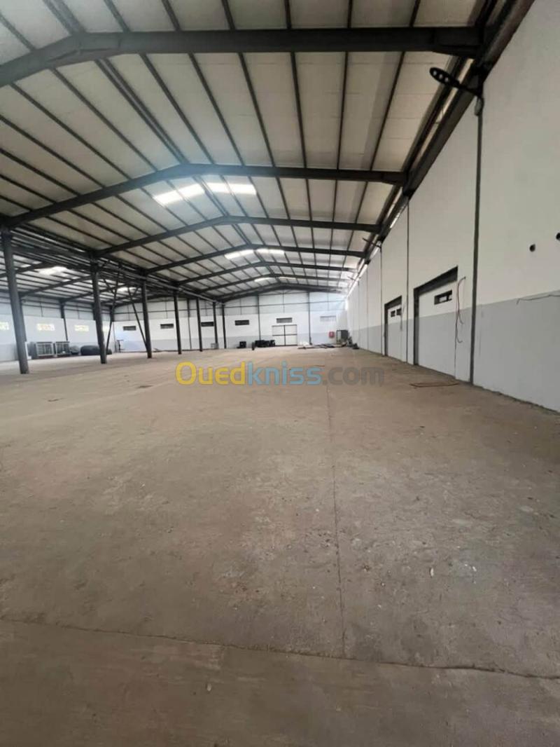Location Hangar - Usine Annaba El hadjar 3
