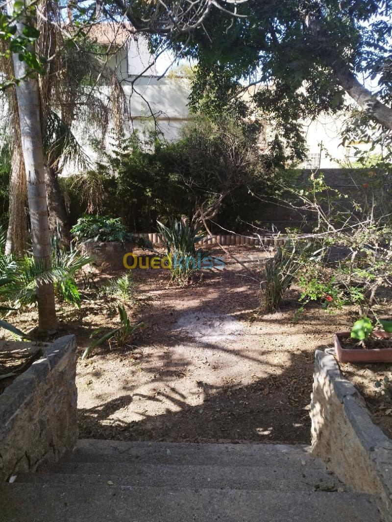 Vente Villa Alger Rais hamidou