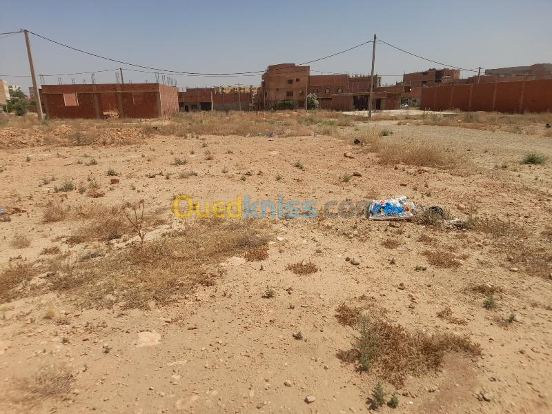 Vente Terrain Saïda Youb 6