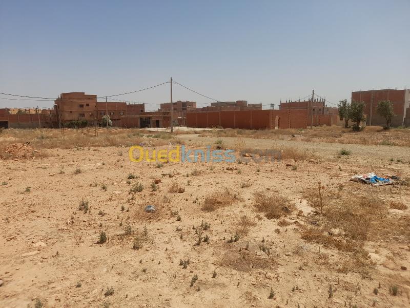 Vente Terrain Saïda Youb 7