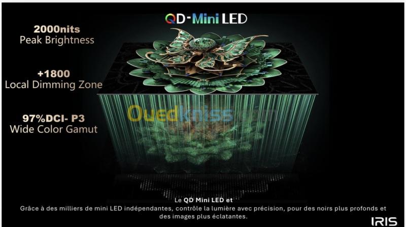 TV IRIS 65" QD MINI LED S9800 GOOGLE TV 144 Hz OMNIVIEW MEMC VRR ALLM 4k UHD ANDROID 14 + BARRE DE SON INTEGRÉE 2