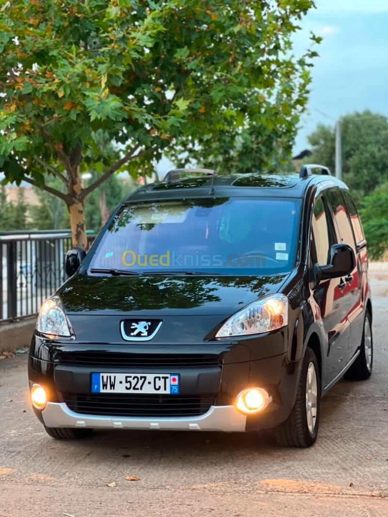 Peugeot Partner 2010 Tepee Allure  17