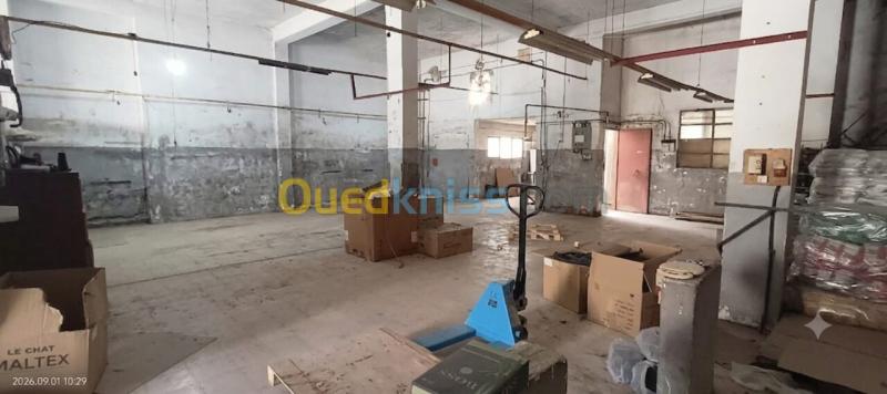 Location Hangar - Usine Béjaïa Bejaia 5