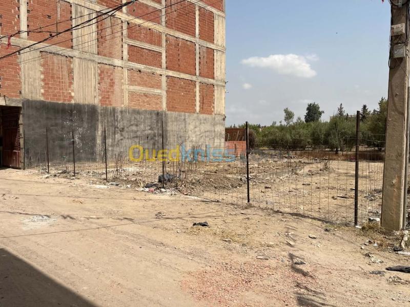Vente Terrain Blida Bougara