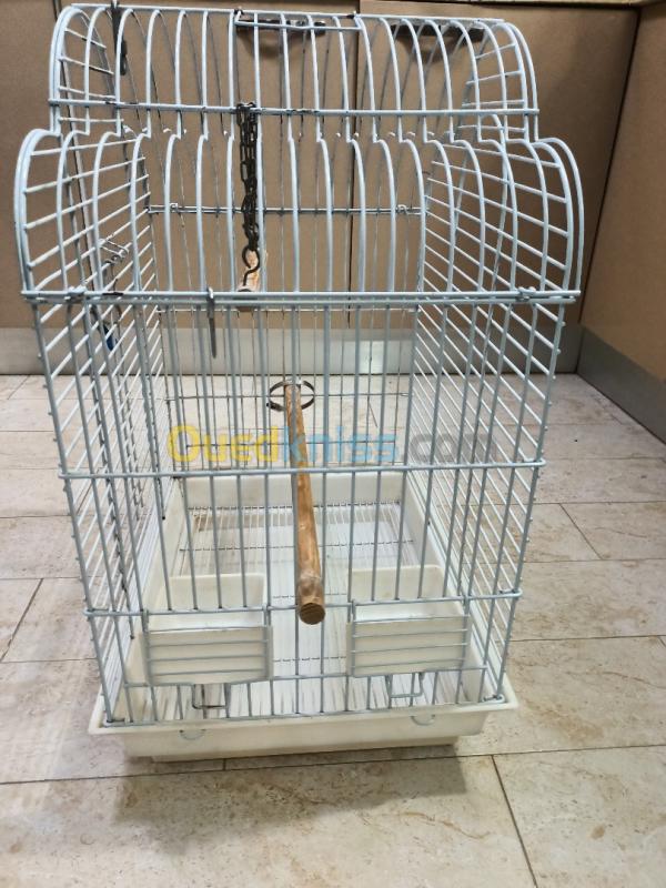  Cage Perroquet