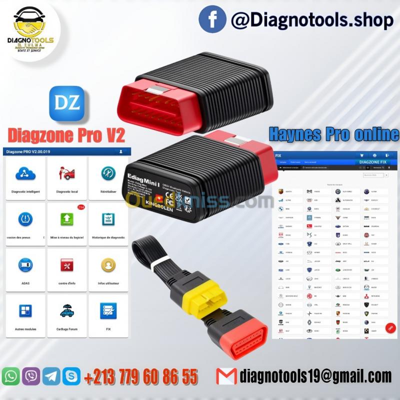  Launch Diagzone Pro V2, Haynes Pro Online, Diagzone Pro V2 Ediag Mini