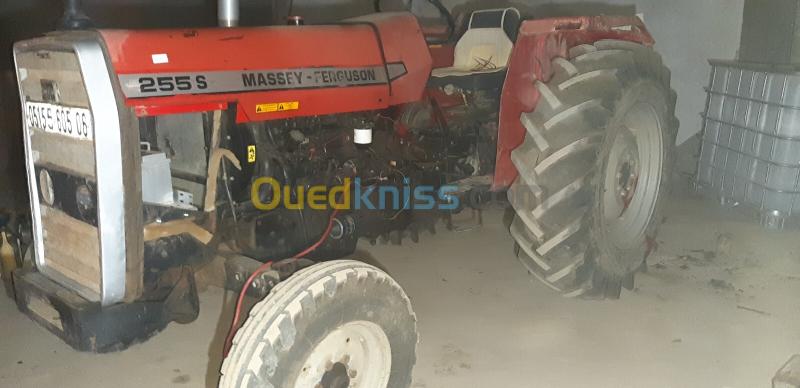 Massey Ferguson 255 S  3