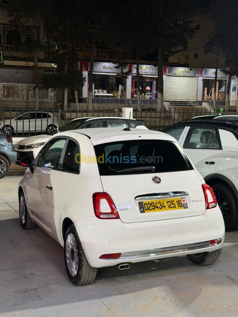 Fiat 500 2025  7