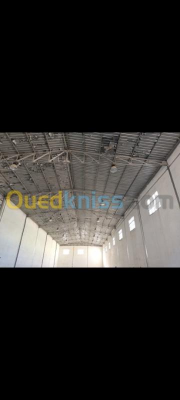  Location Hangar Alger Oued smar