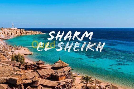  Voyage Organisé Sharm el Sheikh