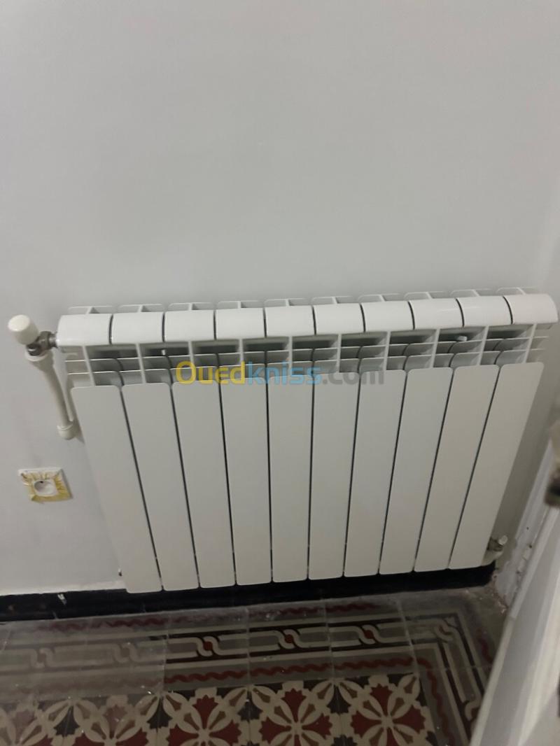 Chaudière avec 3 radiateurs 4