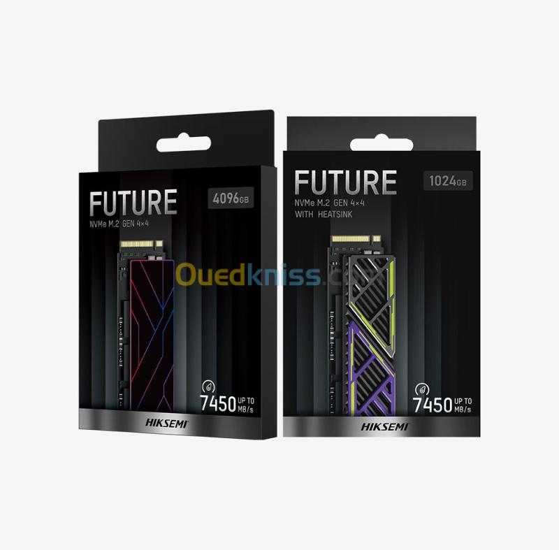 Disque dur SSD HIKSEMI Future Nvme Gen 4 x 4    512Gb / 01Tb / 02Tb / 04Tb