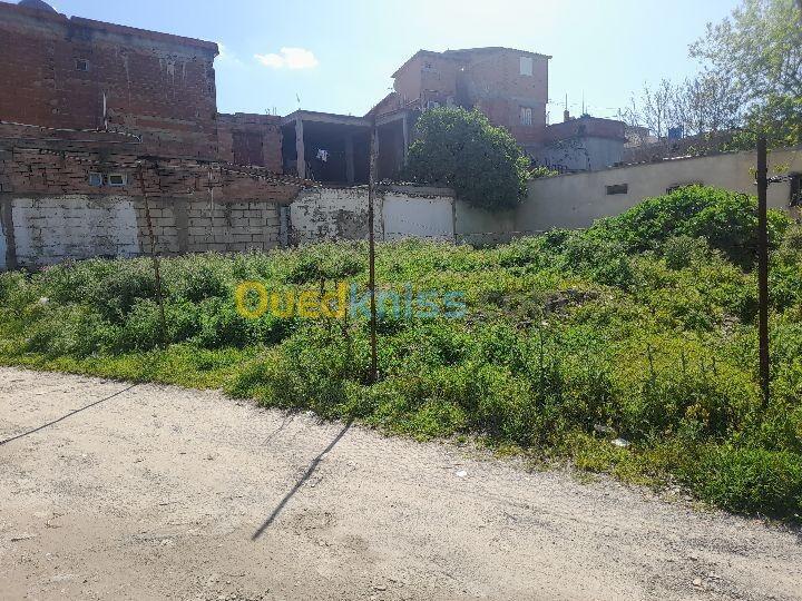 Vente Terrain Boumerdès Hammedi 3