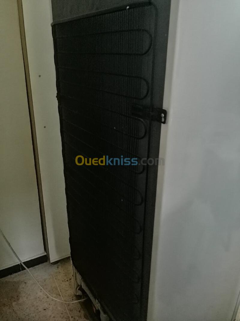 Frigidaire CONDOR 2 Portes 2