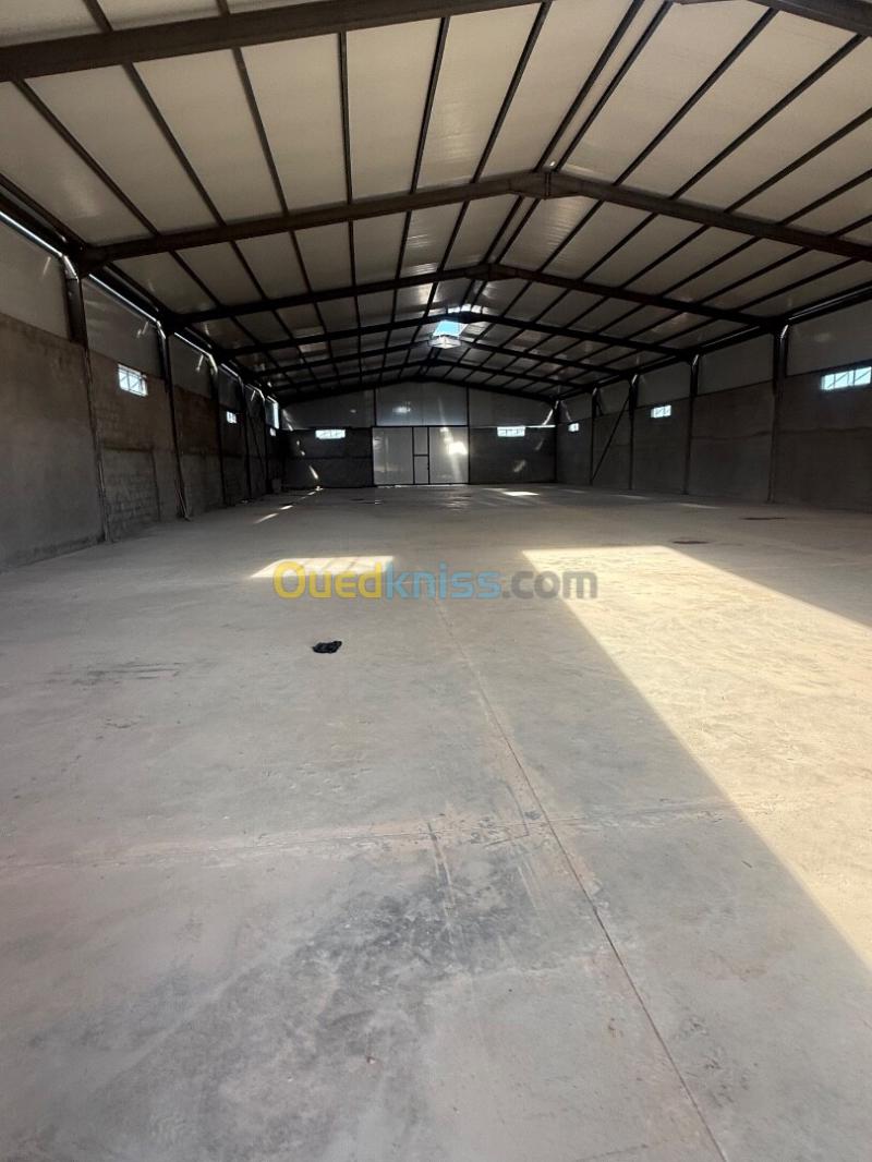 Location Hangar - Usine Sétif Ain arnat 8