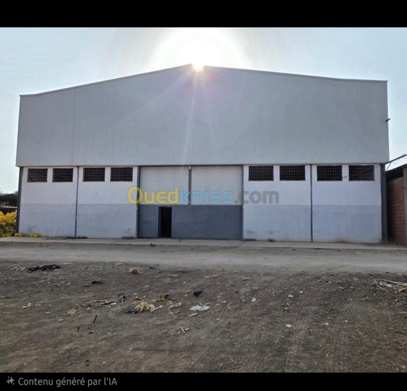 Vente Hangar - Usine Alger Ouled chebel