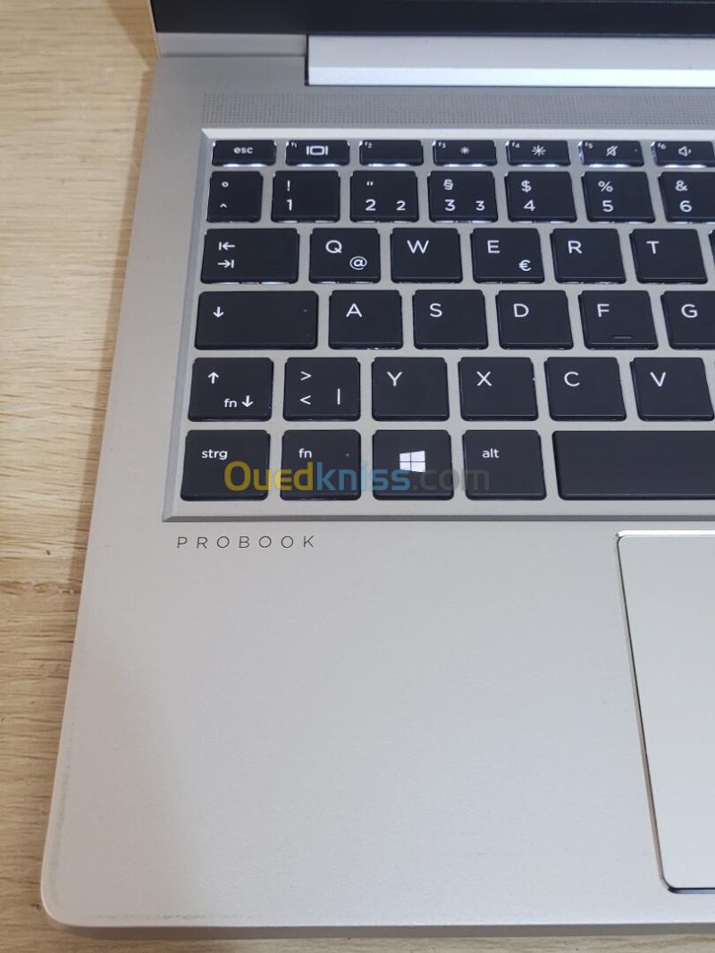 HP PROBOOK 445 G8 14 FHD | AMD RYZEN 5 5600U | 8GB RAM | 256GB SSD | AMD RADEON GRAPHICS 18