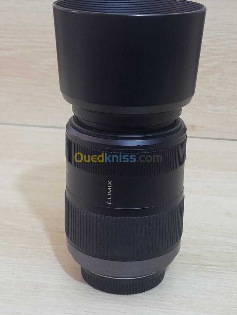 Panasonic Lumix G Vario 45-200mm f/4-5.6 Mega OIS 6