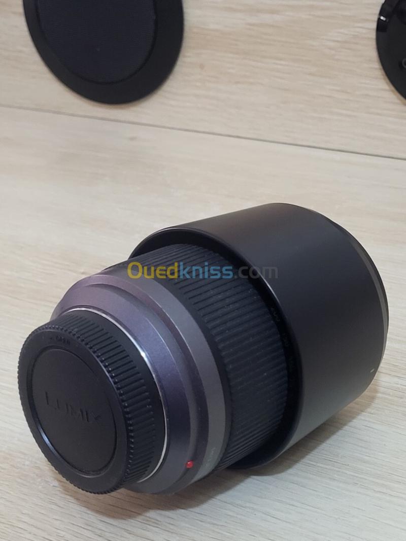 Panasonic Lumix G Vario 45-200mm f/4-5.6 Mega OIS 3