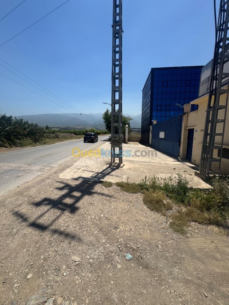Vente Terrain Blida Soumaa 3