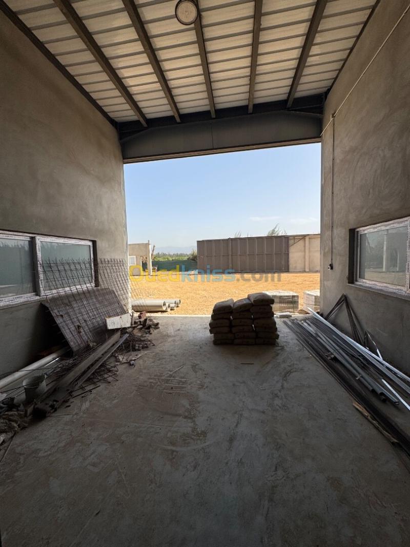 Location Hangar - Usine Alger Birtouta 8