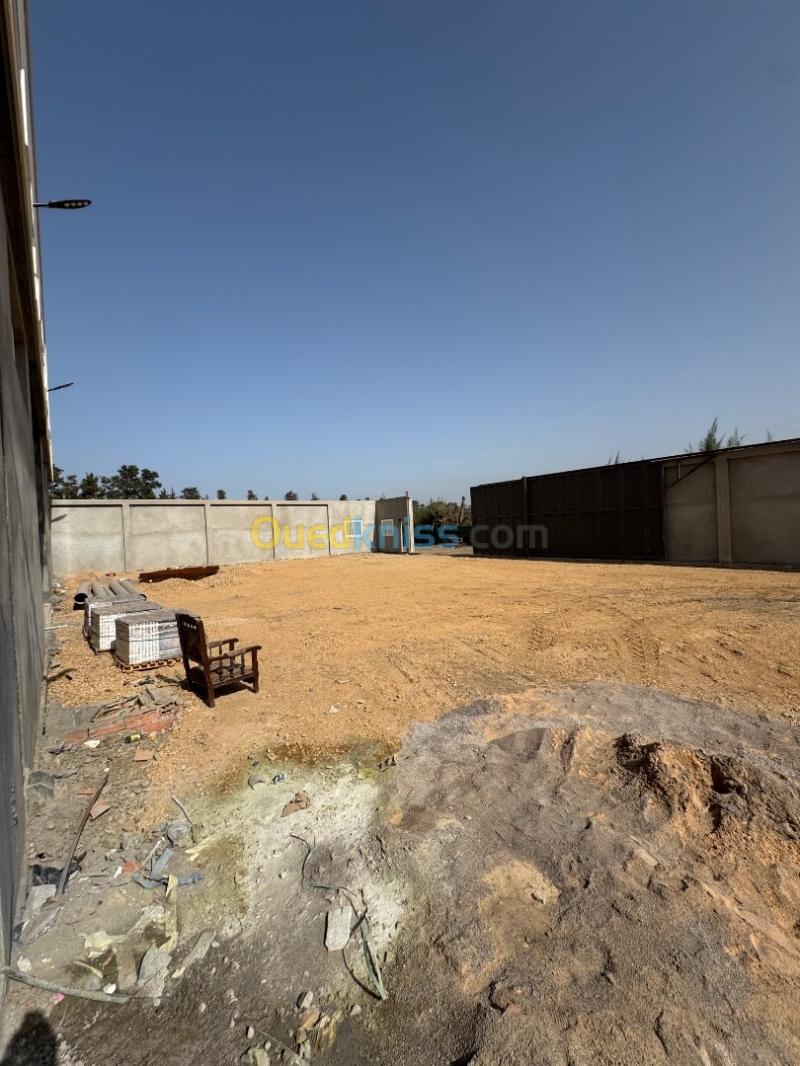 Location Hangar - Usine Alger Birtouta 12