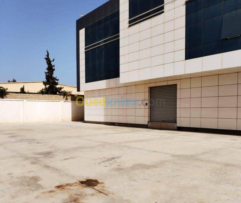 Location Hangar - Usine Oran Es senia 2