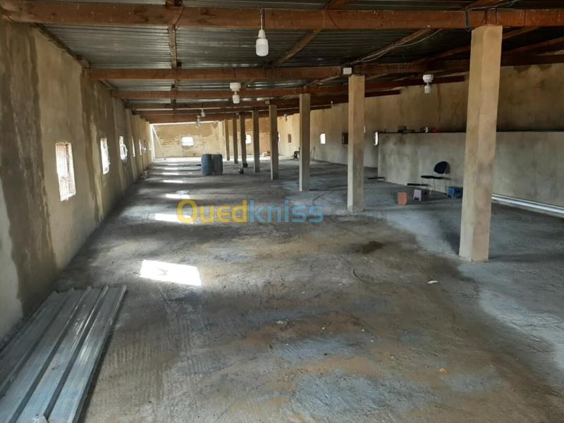 Vente Terrain Oran El Kerma 2