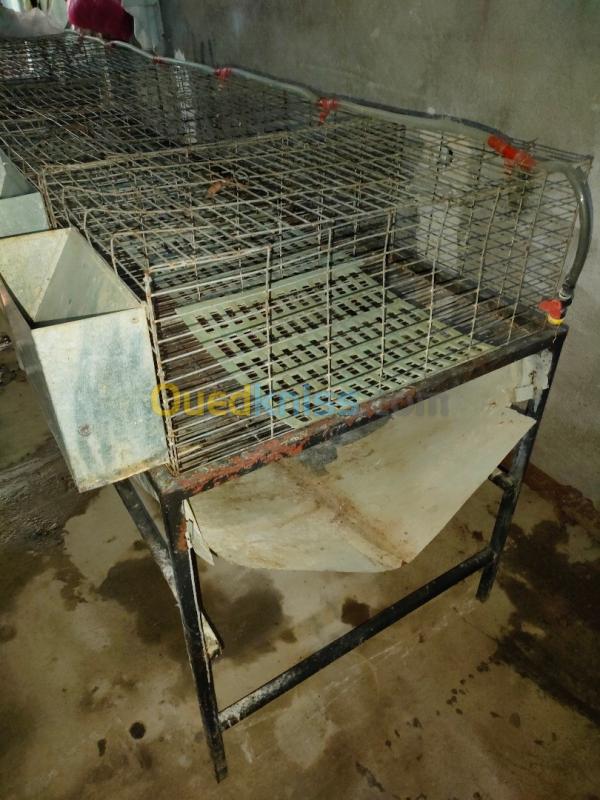  Baterie pour élevage des lapain "طاولات مجهزة بأقفاص لتربية الأرانب"