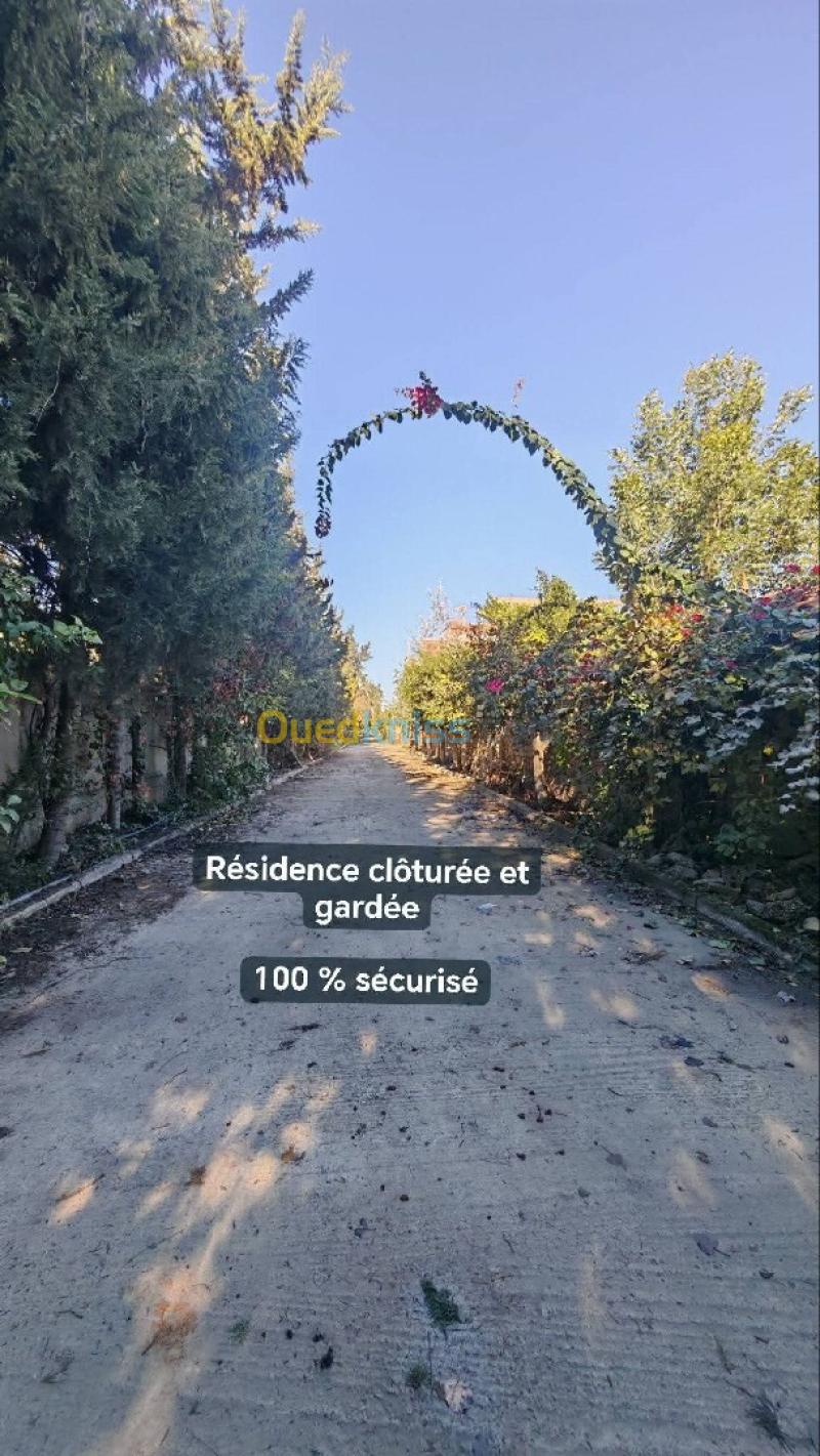 Vente Villa Blida Ben khellil 49