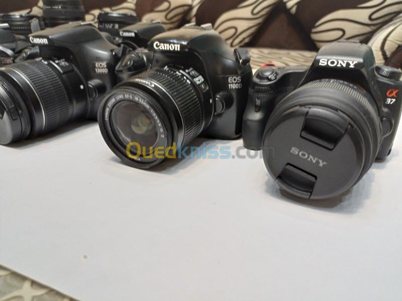  Canon Nikon Sony 🇲🇫