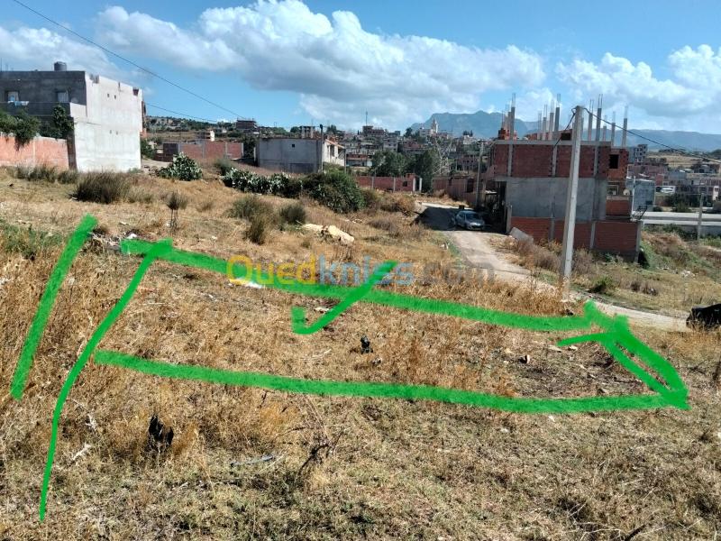 Vente Terrain Boumerdès El kharrouba 4