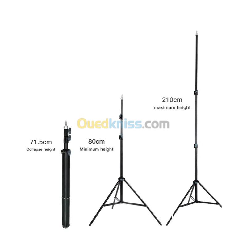Kit Flash Studio GODOX V1 Avec Octabox 6