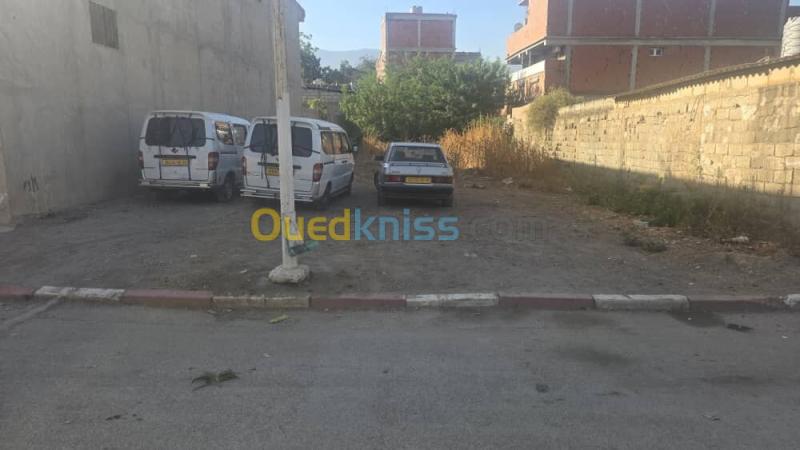Vente Terrain Blida Guerrouaou 6