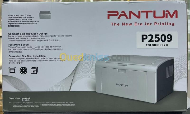 PANTUM P2509 - IMPRIMANTE LASER - MONOCHROME A4 - MONOFONCTION - 22 PPM  - USB 2.0 - PD219 - GRISE  2