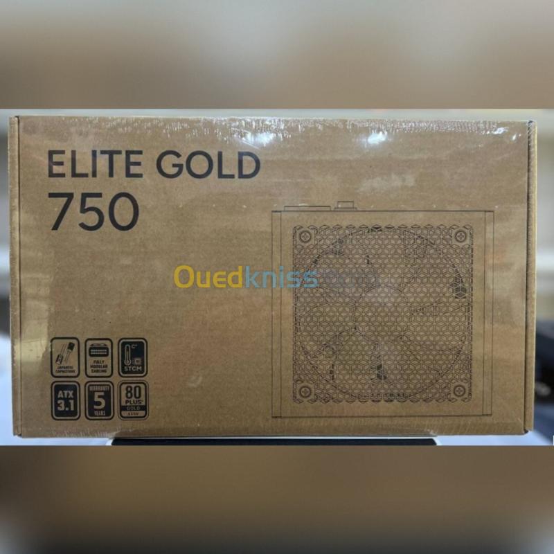 COOLER MASTER ELITE GOLD 750W - ALIMENTATION PC 750W - 80 PLUS GOLD - ATX 3.1 - PCIe 5.1 - FULL MODULAIRE - 12V-2x6 - VENTILATEUR 120 MM - BLACK