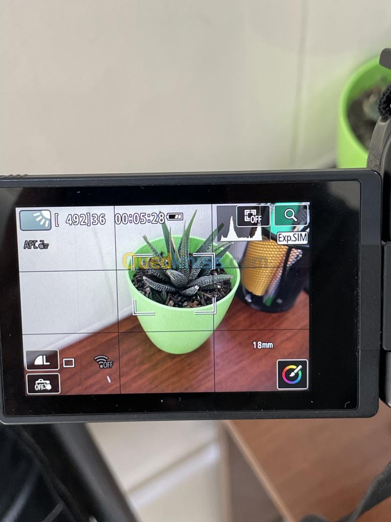 Canon EOS R10 12