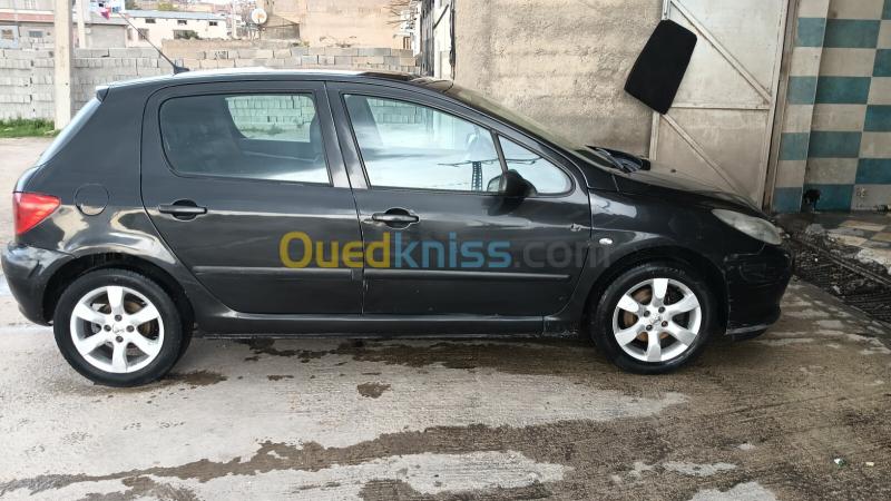 Peugeot 307 2006 XT 4
