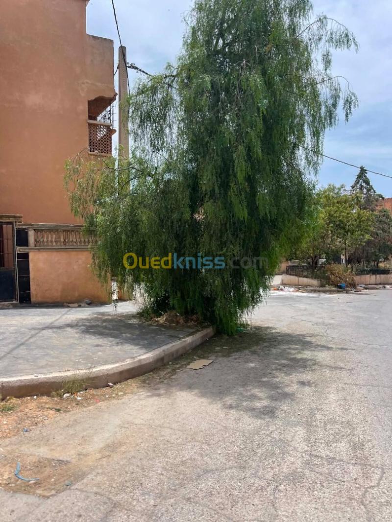 Vente Appartement Niveau de villa F4 Mascara Mascara 4