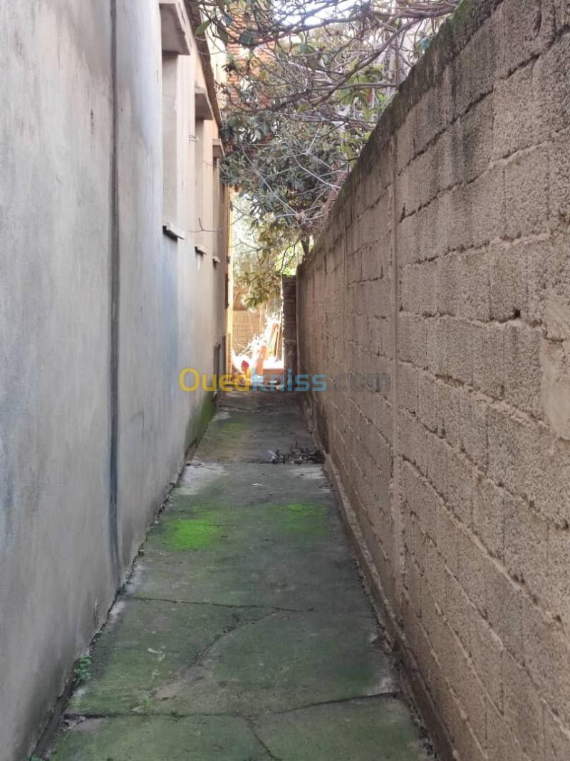 Vente Villa Aïn Defla Khemis miliana 6