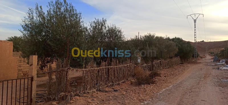  Vente Terrain Agricole Ghardaïa El atteuf