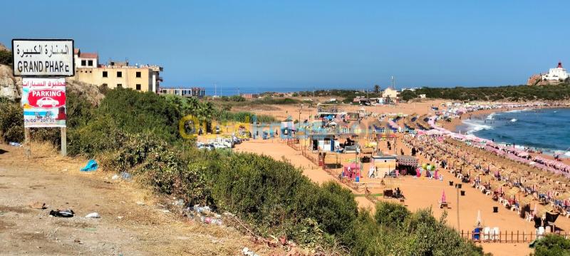 Vente Terrain Sétif El eulma 13