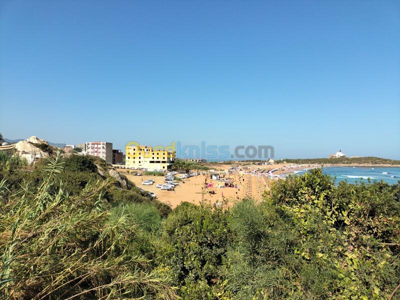 Vente Terrain Sétif El eulma 8