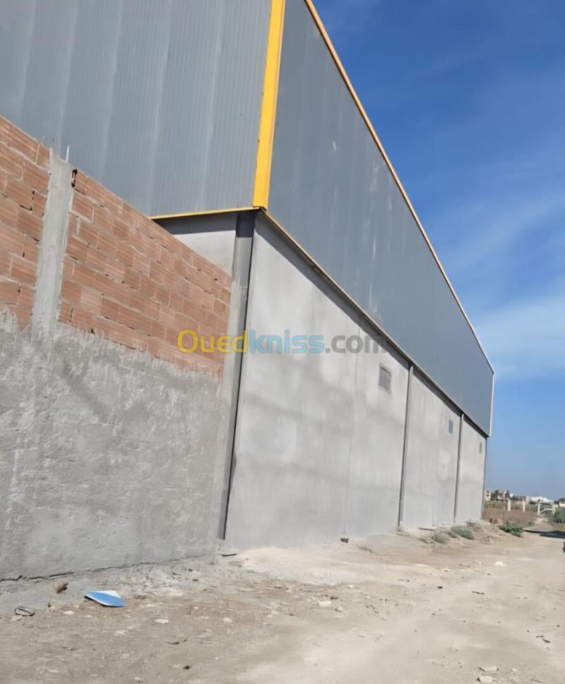 Location Hangar - Usine Boumerdès Hammedi 3