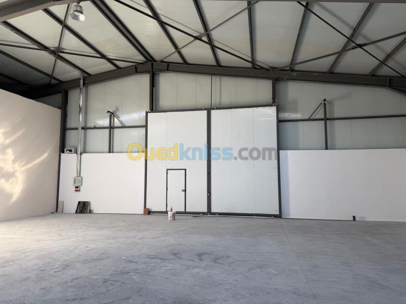 Location Hangar - Usine Sétif El eulma 3