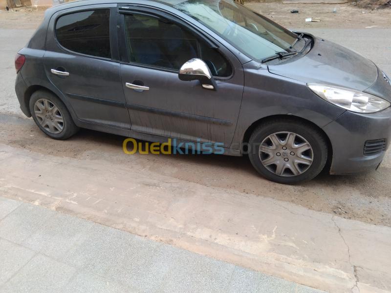 Peugeot 207 2010 Active 10