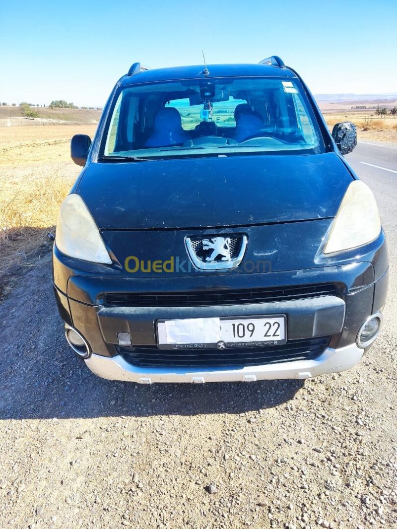 Peugeot Teppe 2009  9
