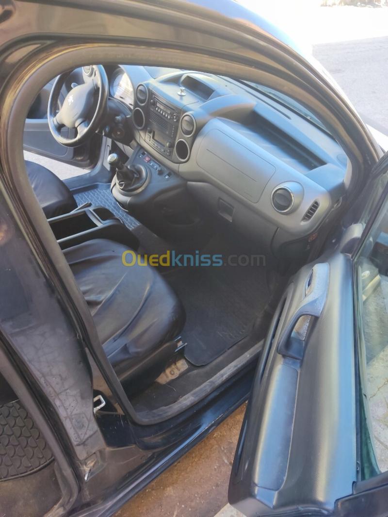 Peugeot Teppe 2009  15