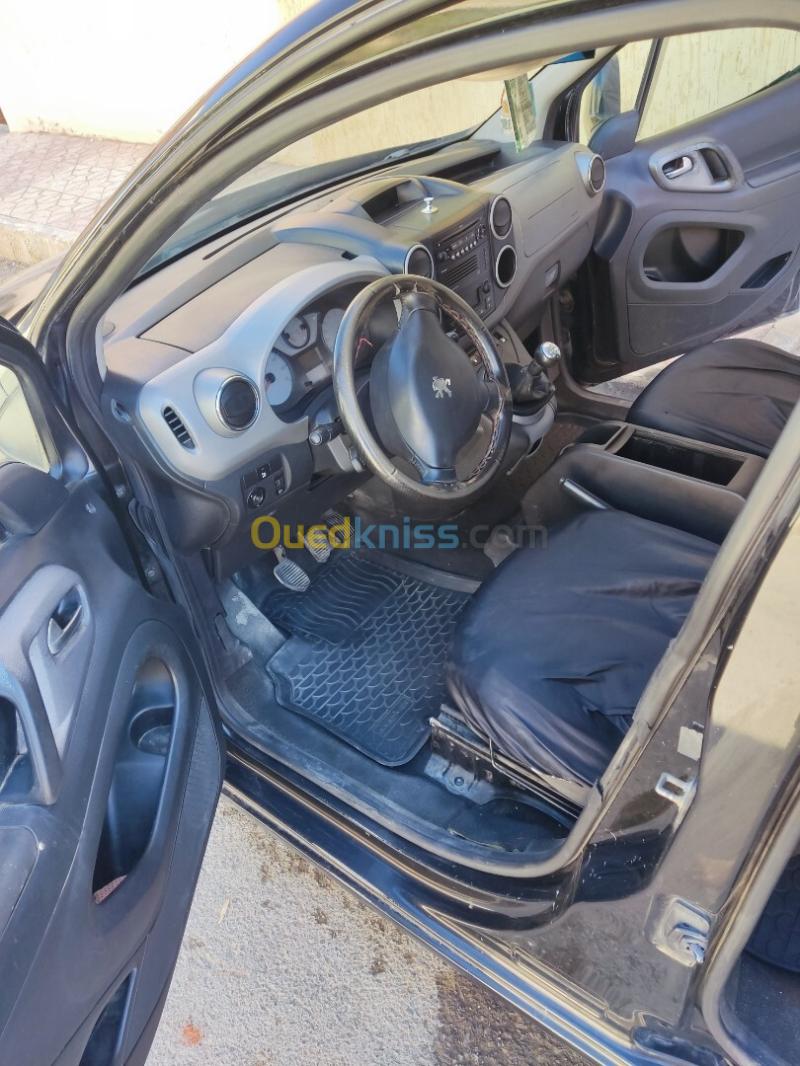 Peugeot Teppe 2009  16