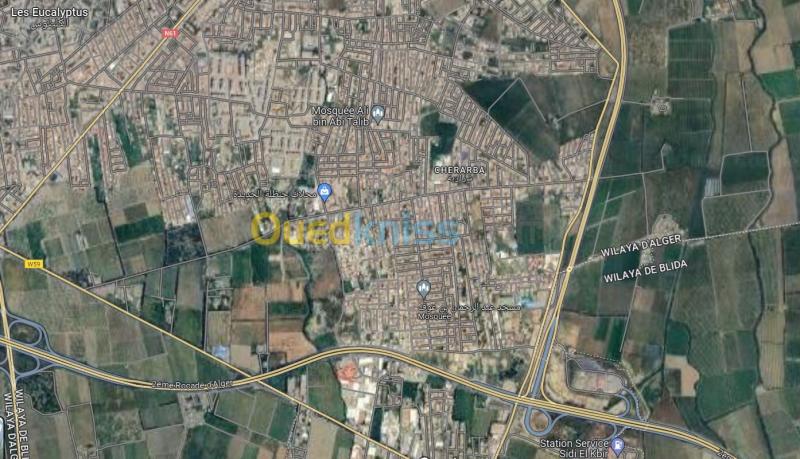 Vente Villa Alger Les eucalyptus 13